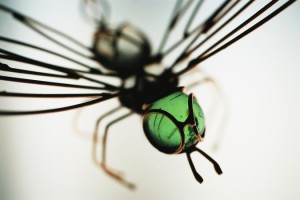 Metal Model of a Fly